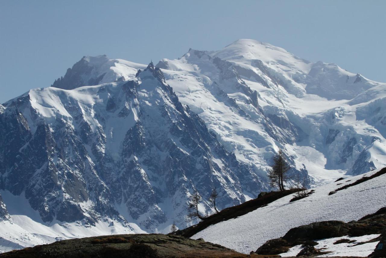 Studio Residence Grands Montets 霞慕尼 外观 照片